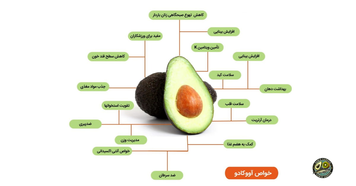 خواص اووکادو