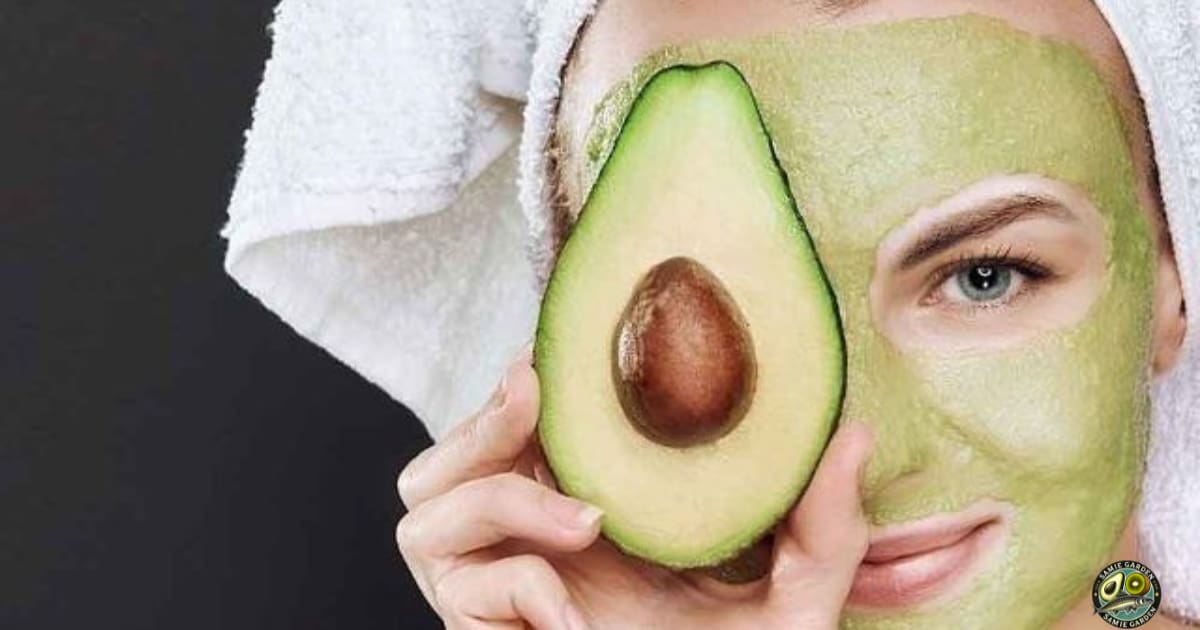 تهیه ماسک اووکادو برای پوست سالم