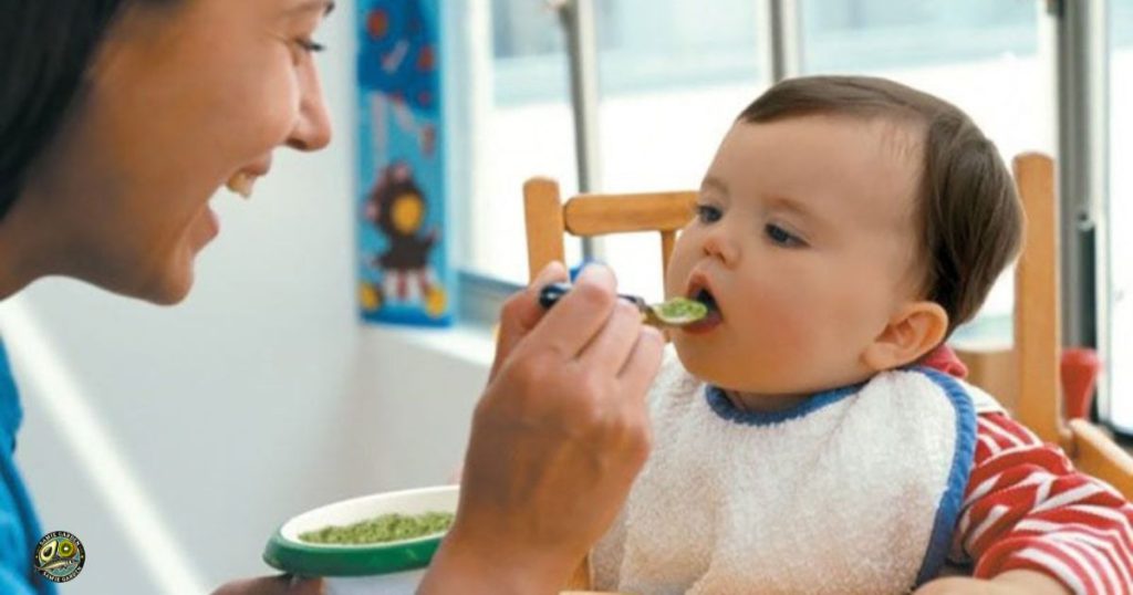 فواید آووکادو برای نوزاد