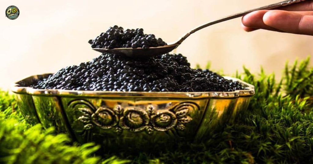 چگونه خاویار بخوریم؟